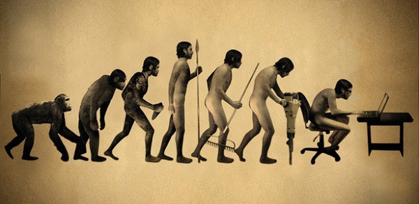 evolução do macaco para o homem 
