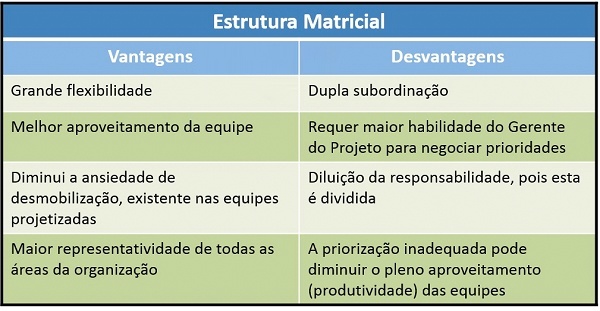 estrutura matricial Tabela explicando estrutura matricial