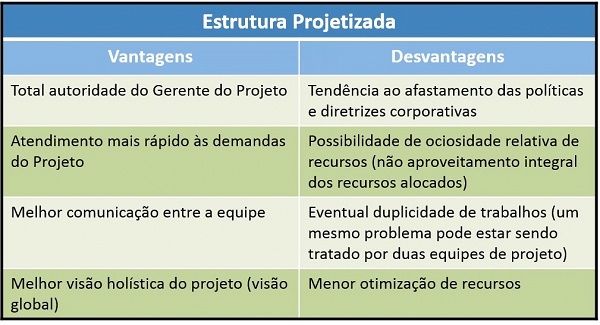estrutura projetizada Tabela explicando estrutura projetizada